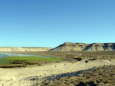 Ballenas, Galeses Y Cordillera